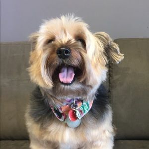 Meet your Posher, Jan